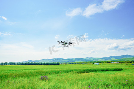 呼伦贝尔白天无人机麦田喷洒农药摄影图配图