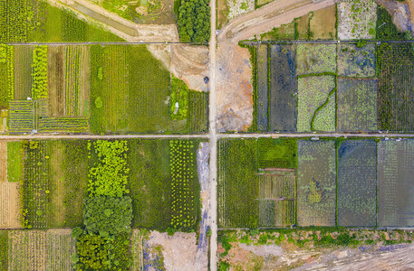 自然中午稻田风光航拍空中无人机摄影图配图