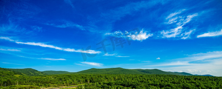 森林摄影照片_呼伦贝尔白天山峰森林大草原蓝天白云摄影图配图