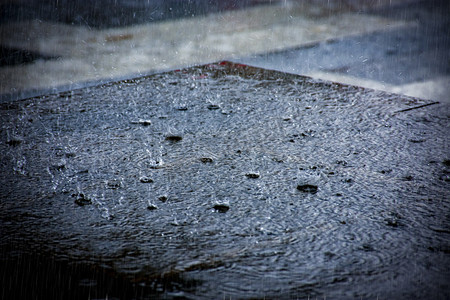 小雨中雨大雨摄影照片_白天户外暴雨洒落在地面上摄影图配图