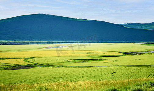草原湿地摄影照片_呼伦贝尔风光白天麦田油菜地庄园太极图摄影图配图