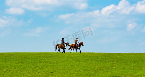 牧场图摄影照片_呼伦贝尔白天骑马的人草原行走摄影图配图