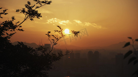 唯美艺术字摄影照片_唯美日落夕阳树枝树叶剪影自然风景唯美意境