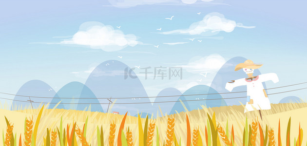 鸽子背景图片_立秋丰收麦子田野背景