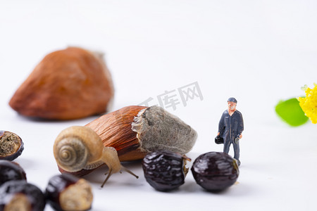 微距小人勘探果壳中的蜗牛摄影图配图