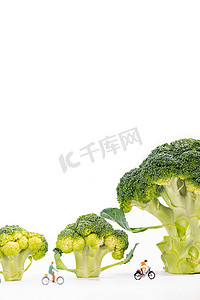 营养蔬菜西兰花创意白色背景摄影图配图