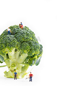 西兰花营养蔬菜白色背景摄影图配图