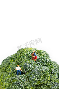 西红柿喷溅摄影照片_西兰花营养蔬菜微缩创意摄影图配图