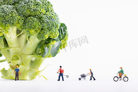 西兰花营养蔬菜微缩创意白色背景摄影图配图