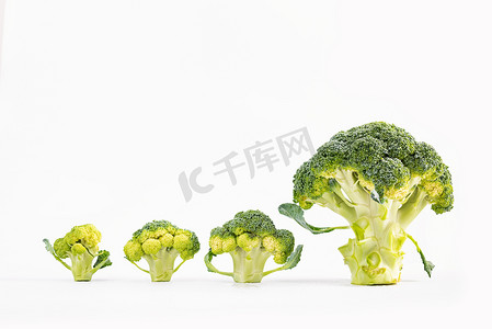 西兰花营养蔬菜微缩创意背景摄影图配图