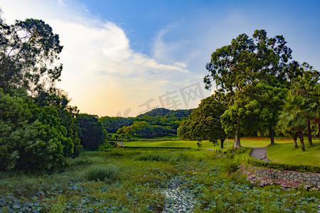 风景夕阳麓湖公园草场公园摄影图配图