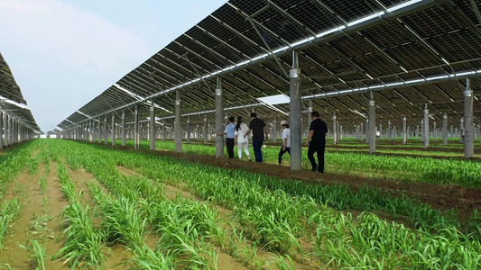 示范朗读摄影照片_太阳能示范园区工作人员巡视航拍