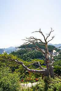 华山风景区白天华山的山户外风景摄影图配图