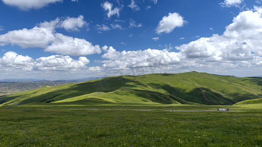 内蒙古草原夏季景观上午草原夏季素材摄影图配图