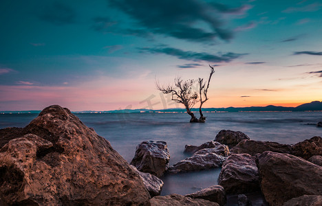 长图风景摄影照片_夕阳下的岸边夕阳枯树沙滩静物摄影图配图