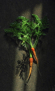 绿色食品清新摄影照片_蔬菜棚拍胡萝卜新鲜红萝卜创意摄影图配图