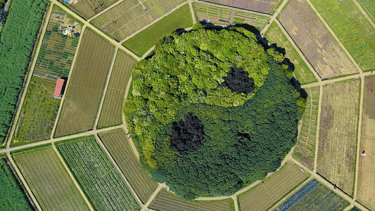 航拍俯瞰杭州阴阳八卦田风景区旅游景点摄影图