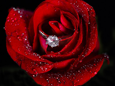 玫瑰花上的戒指白天玫瑰花戒指浪漫室内静物摄影图配图