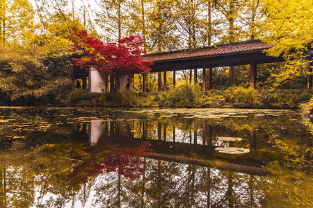 米黄色枫叶摄影照片_秋季枫叶倒影下午湖面路面拍摄摄影图配图
