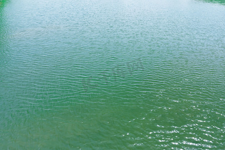 鱼从水面跳出来摄影照片_水面白天河水户外水波纹摄影图配图