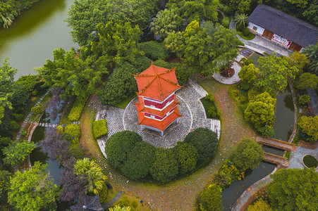 园博园摄影照片_城市中午广西柳州园博园景观塔景区无人机摄影图配图