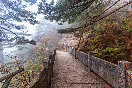 塑木栈道摄影照片_家庭出游天亮道路山区摇动摄影图配图