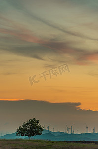 高坡夕阳夕阳树草原景物摄影图配图