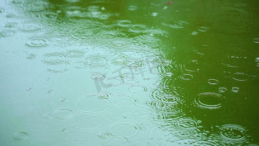 唯美下雨意境雨水下雨天下雨雨滴城市下雨自然风景滴落池塘