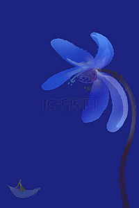 潮流风格背景图片_克莱因蓝  花朵蓝色