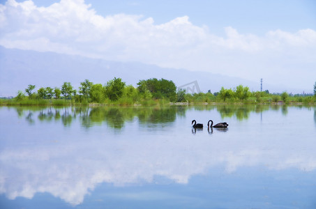 掠影摄影照片_甘肃张掖中午湿地公园中心湖掠影摄影图配图