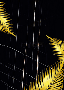 金色热带植物背景图片_黑色现代暗风金色热带植物壁纸