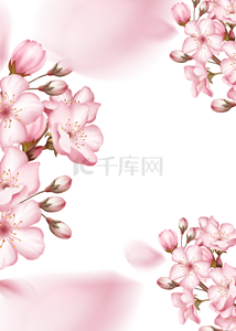 粉色花卉春季背景