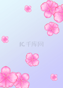 紫色粉色花卉背景