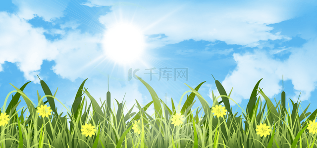 春天光效草地黄色花卉背景