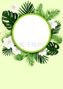 绿色棕榈背景图片_植物绿色棕榈叶子背景