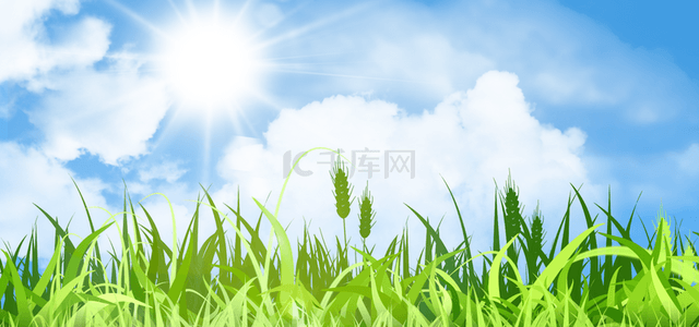 春天桌面背景背景图片_春天光效绿色草地天空背景