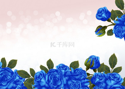 蓝色花卉渐变光斑玫瑰花