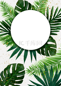 金色的边框背景图片_绿色植物棕榈叶子背景