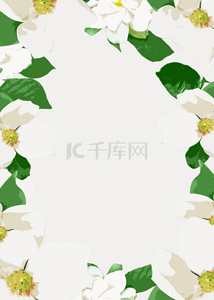 米色高端花卉边框背景