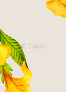 杏色时尚质感花卉背景