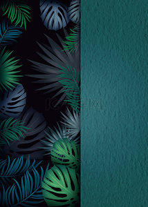 冷色背景背景图片_蓝色高级叶子棕榈叶质感纹理背景