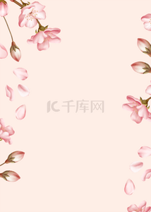 精致粉色背景图片_精致浅粉色花卉植物背景