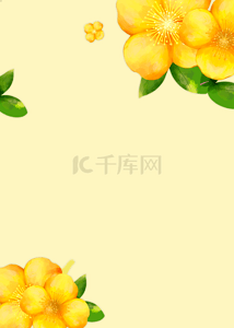 黄色花卉纯色背景