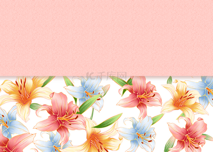 粉色百合花卉卡片背景