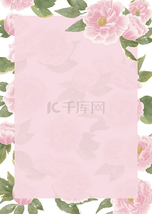 粉色典雅夏季花卉色彩背景