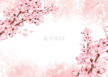 粉色美丽樱花盛开花瓣背景