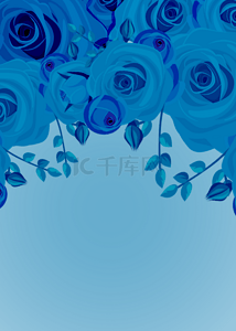 蓝色玫瑰花壁纸