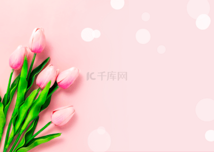 粉色光晕花卉背景
