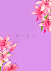 质感花纹理背景图片_紫色质感渐变花卉背景