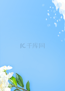 蓝色淡雅背景图片_优雅蓝色花朵泡沫背景